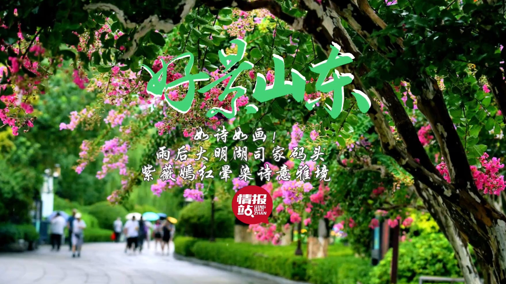 果然视频·好景山东|雨后大明湖司家码头，紫薇嫣红晕染诗意雅境