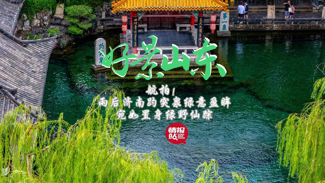果然视频·好景山东|航拍济南趵突泉绿意盈眸，宛如置身绿野仙踪