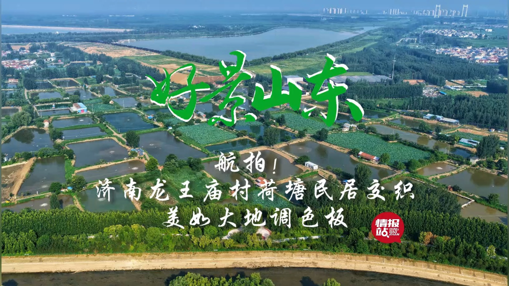 果然视频·好景山东|济南龙王庙村荷塘民居交织，美如大地调色板