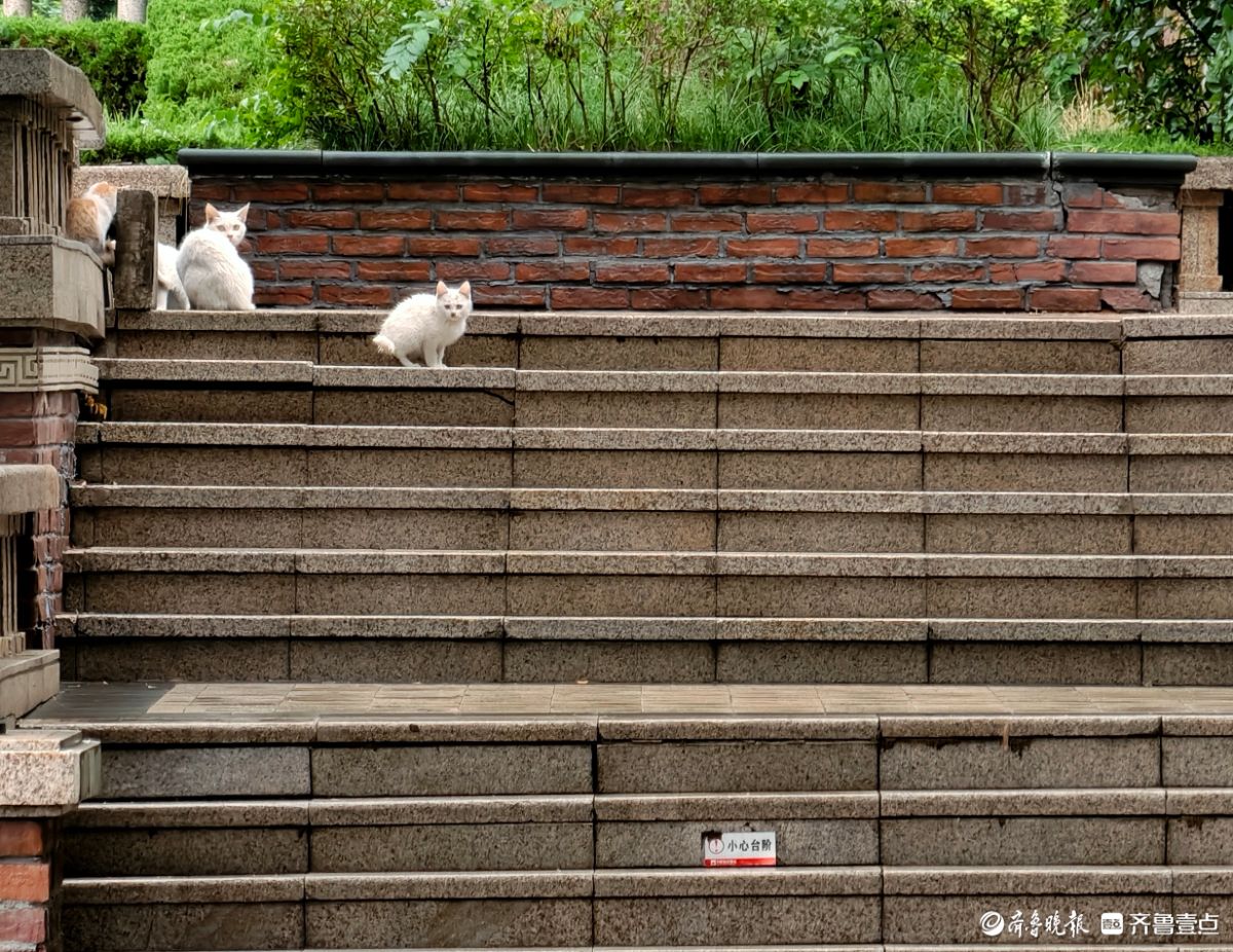 雨后清新的世界