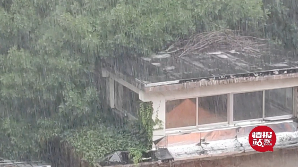 天气情报站|乌云压城！济南午后再迎阵雨，转眼大雨倾盆