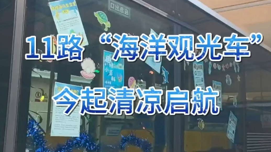果然视频丨11路“海洋观光车”今起清凉启航