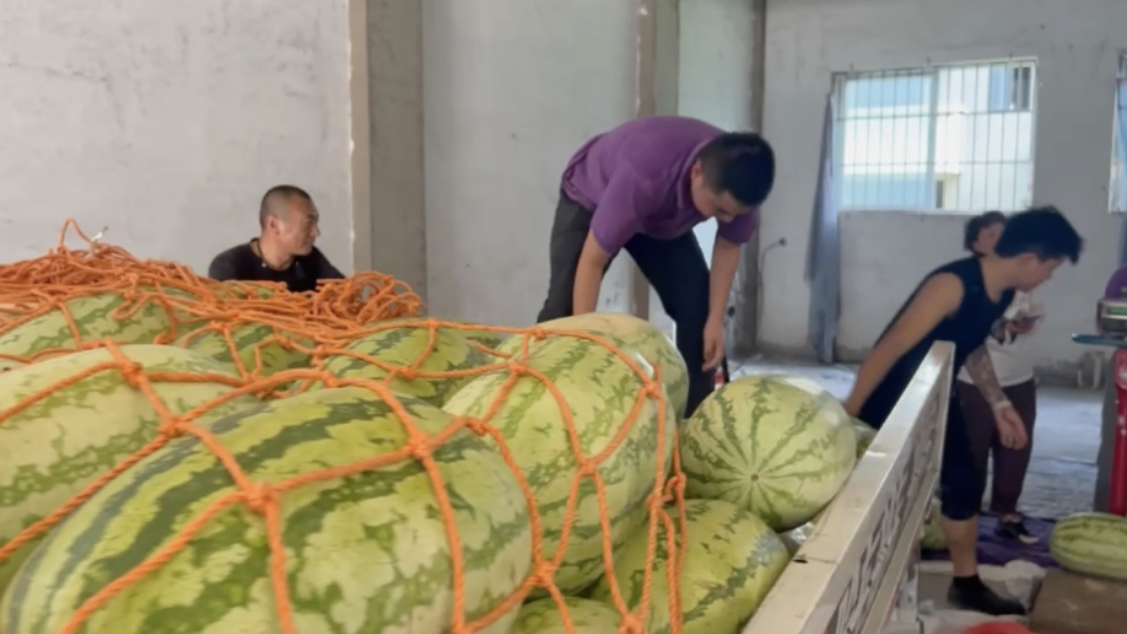 果然视频丨水果商贩突发疾病急售西瓜救命，青岛喜来登买了一车瓜