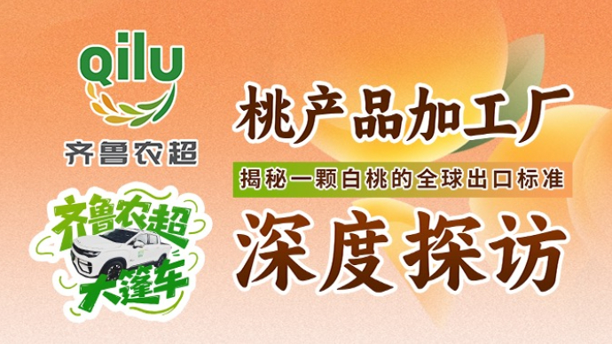 齐鲁农超大篷车丨探访一颗安丘白桃加工的全球出口标准