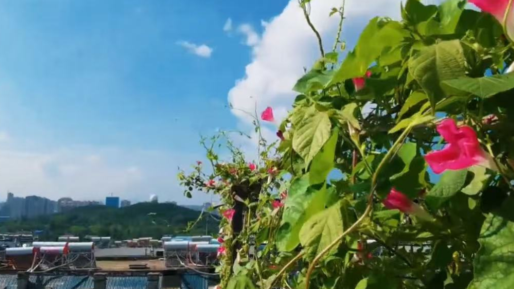 天气情报站|超美超治愈超凉快！雨过天晴，山东多地蓝天白云上线