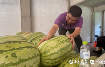 壹点帮办·追踪丨胶州瓜贩完成心脏手术，8万斤西瓜销售接近尾声