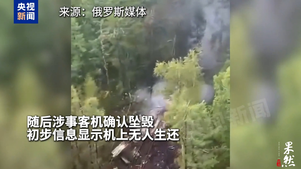 果然视频·看天下|俄地面救援队正前往客机坠机地点