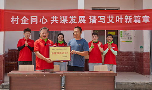 沂蒙山飘出艾草香，泰奉药材千万订单助农奔小康