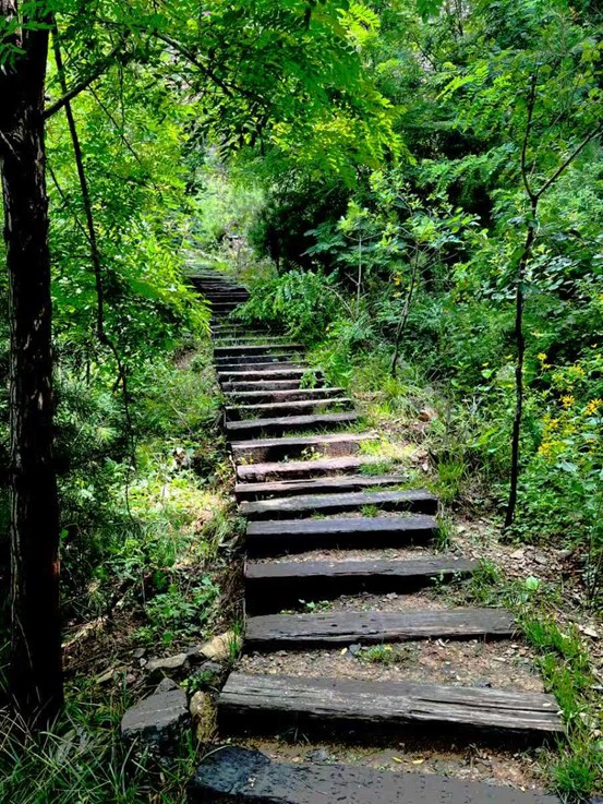 壹点图集｜夏日沁凉就来潭溪山！瀑布奔腾而下，山野化作流动的诗