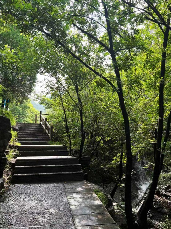 壹点图集｜夏日沁凉就来潭溪山！瀑布奔腾而下，山野化作流动的诗