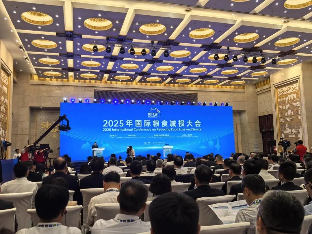 济南全链聚力节粮减损，从“倡议”到“无形良田”的粮食安全实践