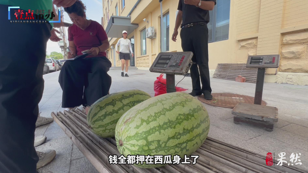 壹点帮办|青岛瓜贩突发急病陷困境，8万斤“救命瓜”被爱心抢购