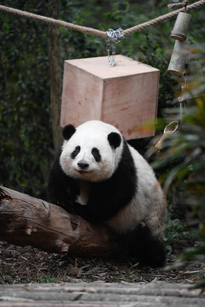 图片加载失败