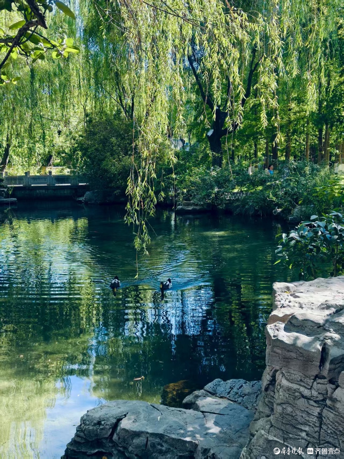 济南纳凉好去处——五龙潭公园