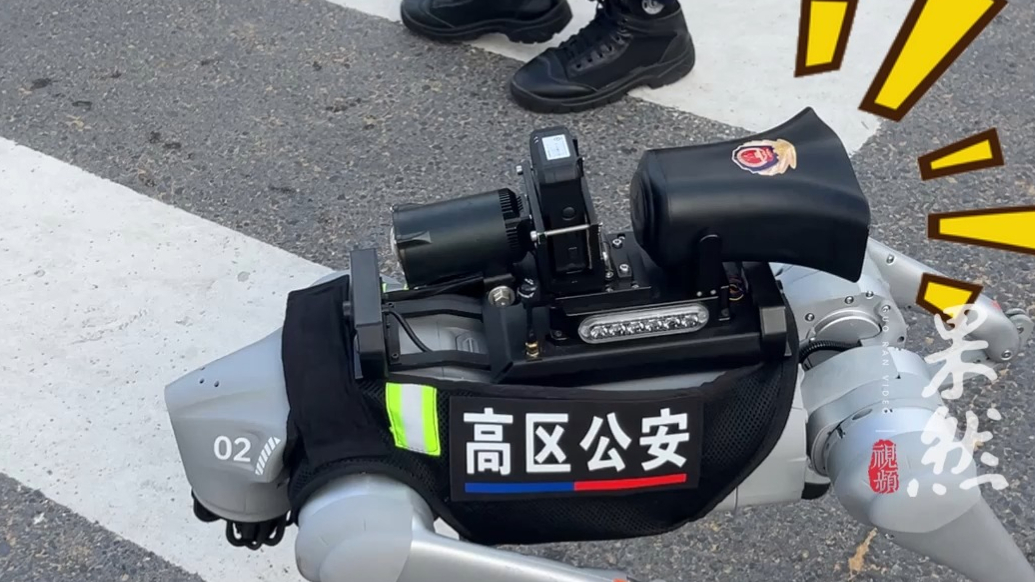 随警记丨威海公安“汪汪队”暑期执勤，警用机器狗亮相火炬八街