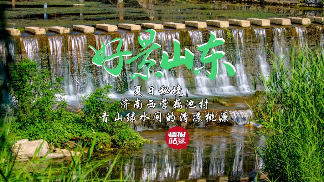 果然视频·好景山东|济南西营藕池村，青山绿水间的清凉桃源！