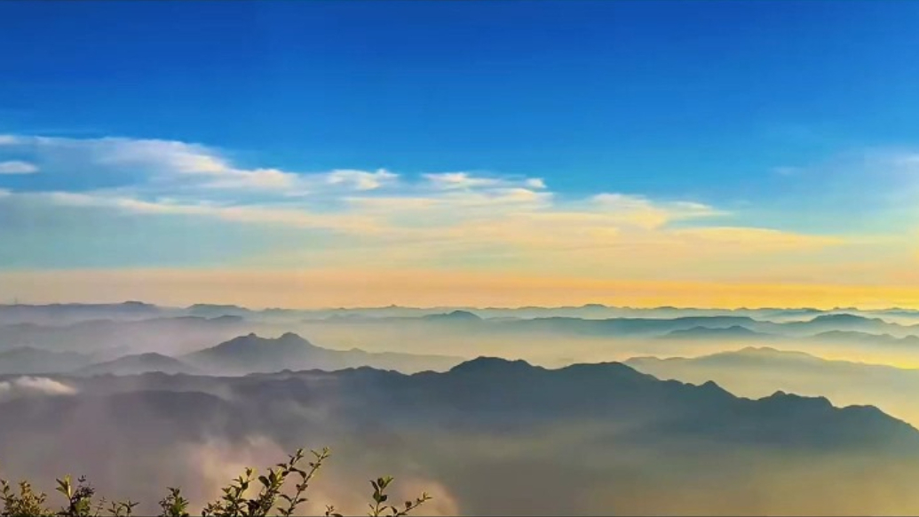 果然视频｜这般壮美谁能不爱？速看岱顶视觉盛宴，云海翻涌托金轮，群峰尽染似仙阙