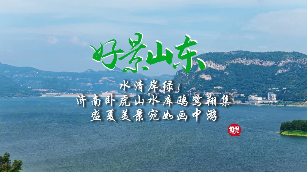果然视频·好景山东|济南卧虎山水库鸥鹭翔集，宛如画中游！