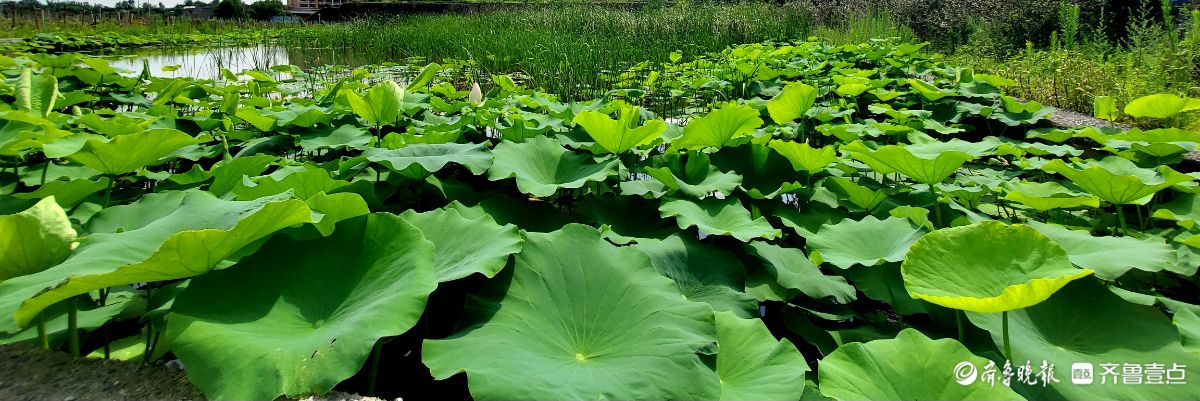 淄川区昆仑镇三台山下好风光