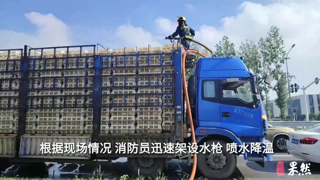 果然视频|一车幼鸡“中暑”，消防员及时到场进行喷淋作业