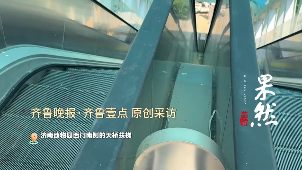 果然视频｜过街天桥扶梯多处停摆，背后是修不好还是不想修？