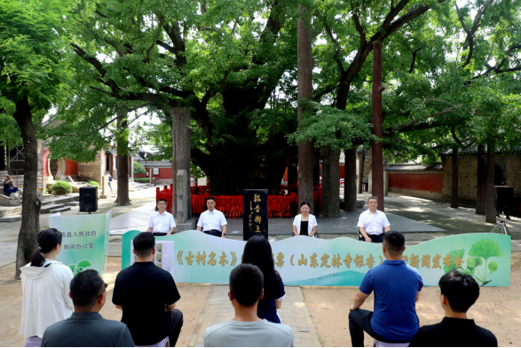四千年树龄！山东日照莒县定林寺银杏树登上《古树名木》特种邮票