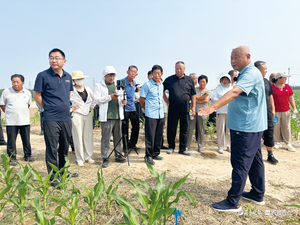 党建红引擎 激活共富新动能丨德州赵虎镇探路乡村振兴齐鲁样板