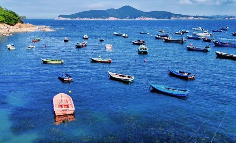 威海七月惊现 “玻璃海”，错过这次再等一年！