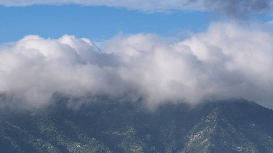 7月29日最佳情报|泉城公园草木葱茏，沂蒙山云海翻涌绘丹青