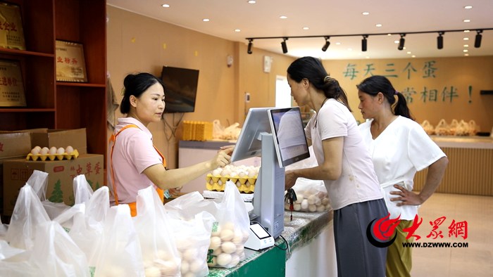 产业链上的山东好品牌｜一枚生态蛋的品牌增值与产业链突围之路