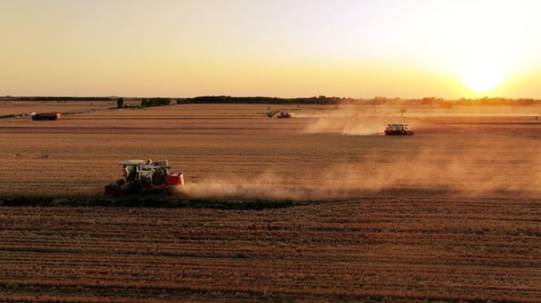 Smart farming tools set to help slash grain losses nationwide