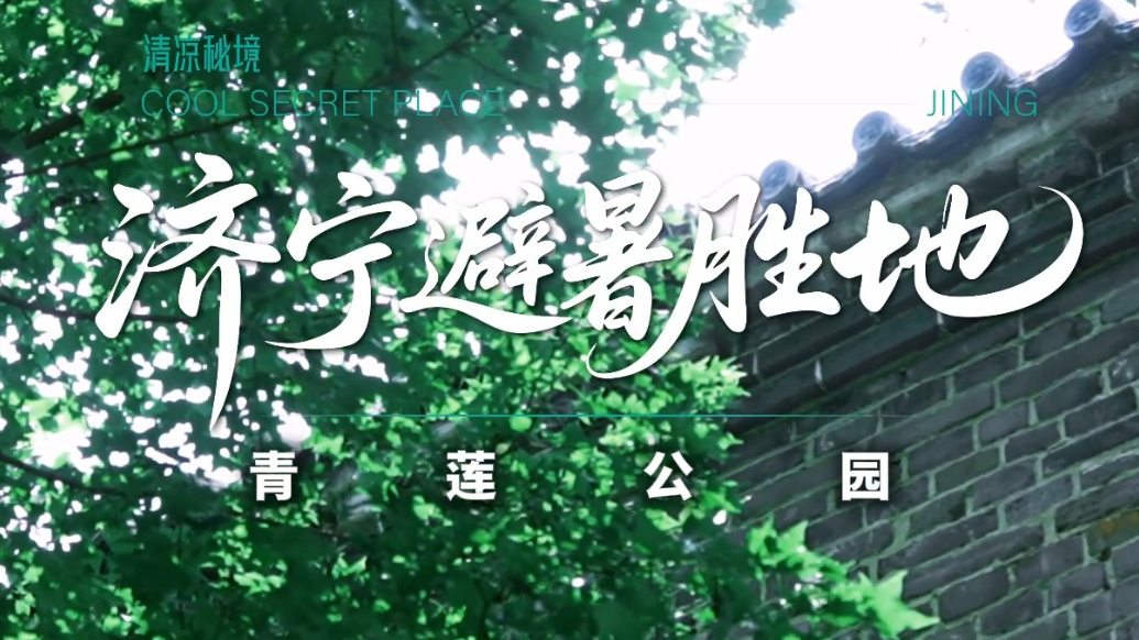 果然视频|济宁避暑胜地青莲公园