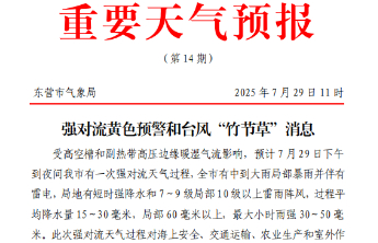 受台风“竹节草”影响，东营将迎局部暴雨或大暴雨