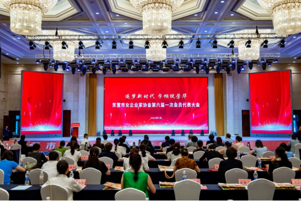 逐梦新时代 巾帼绽芳华|东营市女企业家协会换届大会召开