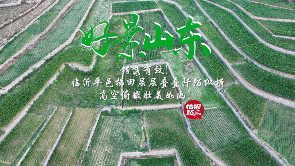 果然视频·好景山东|航拍临沂平邑梯田层层叠叠，错落有致如画卷