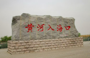 我与黄河文化地标|应是黄河入海时