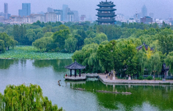 7月30日最佳情报|清晨大明湖烟雨朦胧，济阳葡萄收获满枝头！