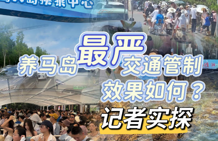 7月23日起,养马岛推行阶段性交通管制,在管制期内非预约机动车、岛外骑行电动自行车、三轮及以上电动车限制入岛,游客需乘接驳车入岛,后海景区实行24小时交通管制……此举被称为养马岛史上“最严”交通管制。近日,记者来到养马岛景区实地探访管制效果与游客体验。