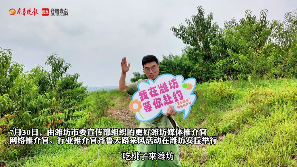 果然视频|孝德山庄负责人郝连云：安丘蜜桃市场供不应求