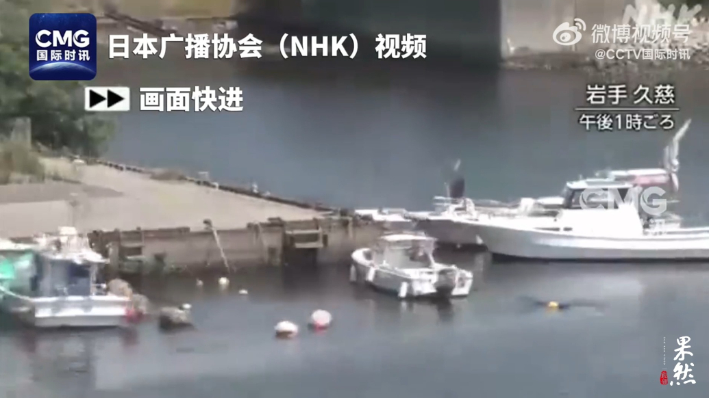 果然视频·看天下|勘察加强震过后，日本观测到1.3米高海啸