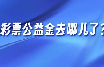 彩票公益金去哪儿了？看懂公益福彩的民生答卷