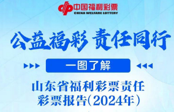 一图了解《山东省福利彩票责任彩票报告（2024年）》