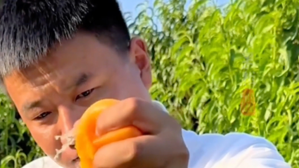 果然财经｜90后村支书变“网红达人”，把蒙阴蜜桃卖到千里之外