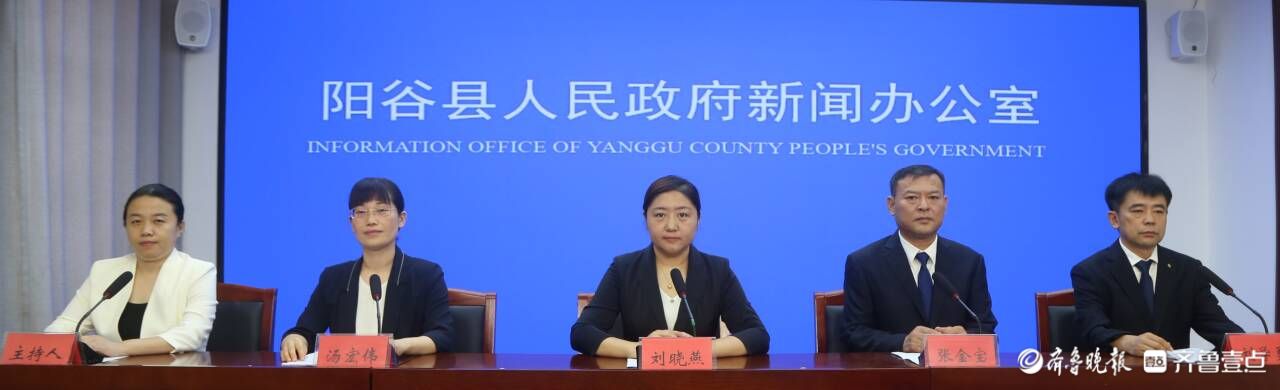 阳谷县在全市率先通过“全国基层中医药工作先进单位”创建
