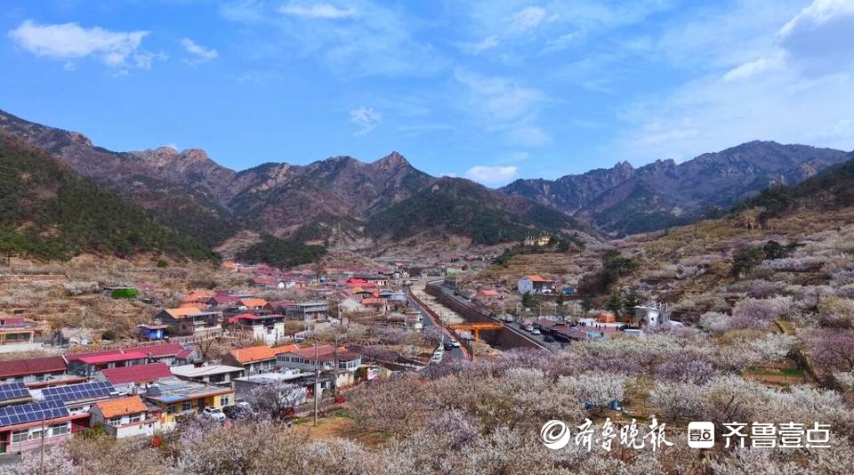 城阳4个乡村振兴片区年接待游客超200万人次