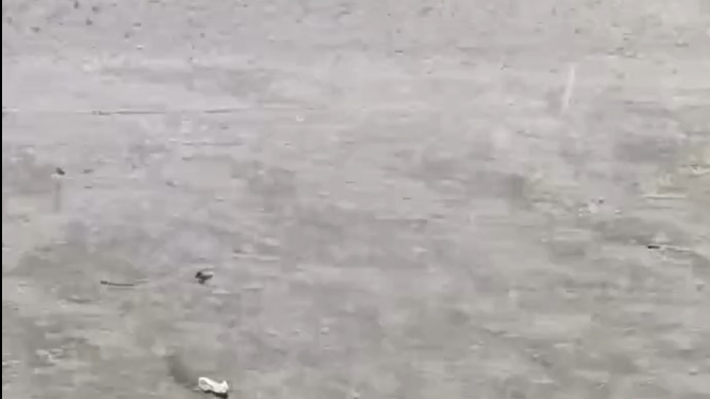 天气情报站|大雨滂沱！山东多地迎来降雨，部分道路已出现积水