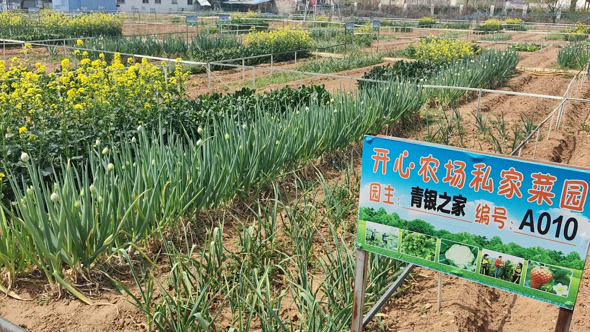 “赛博种田”，种的是什么？