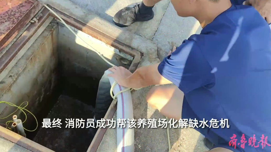 果然视频|抽水泵故障致养殖场四千头活猪缺水，消防员及时救援