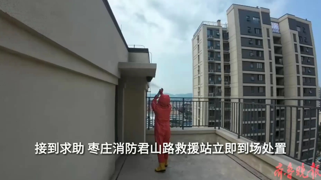 果然视频|马蜂在楼顶筑巢扰民，消防员五分钟化解