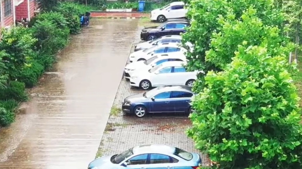 天气情报站|济南傍晚一场夏雨说下说下，多雨时节出门带好雨具